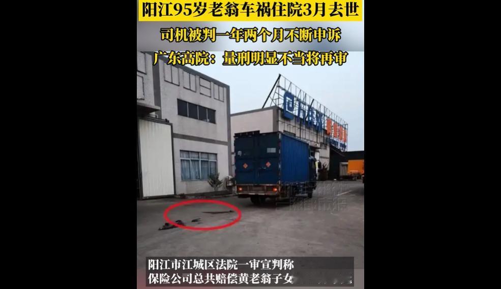 广东阳江司机梁某清倒车撞伤95岁老翁，老翁三个月后离世。交警认定梁某清负