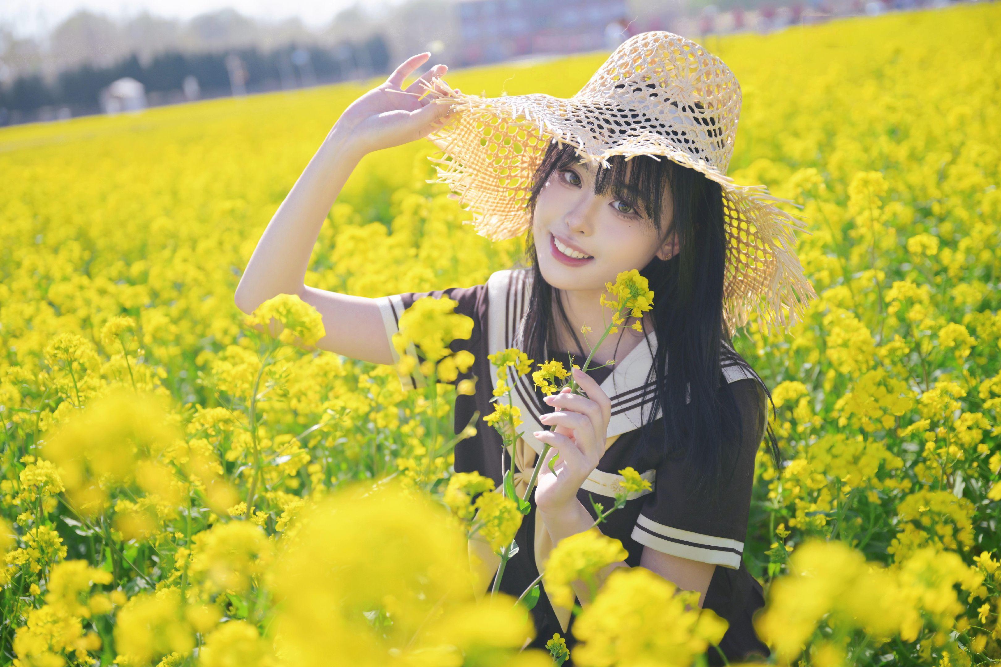 油菜花。摄影