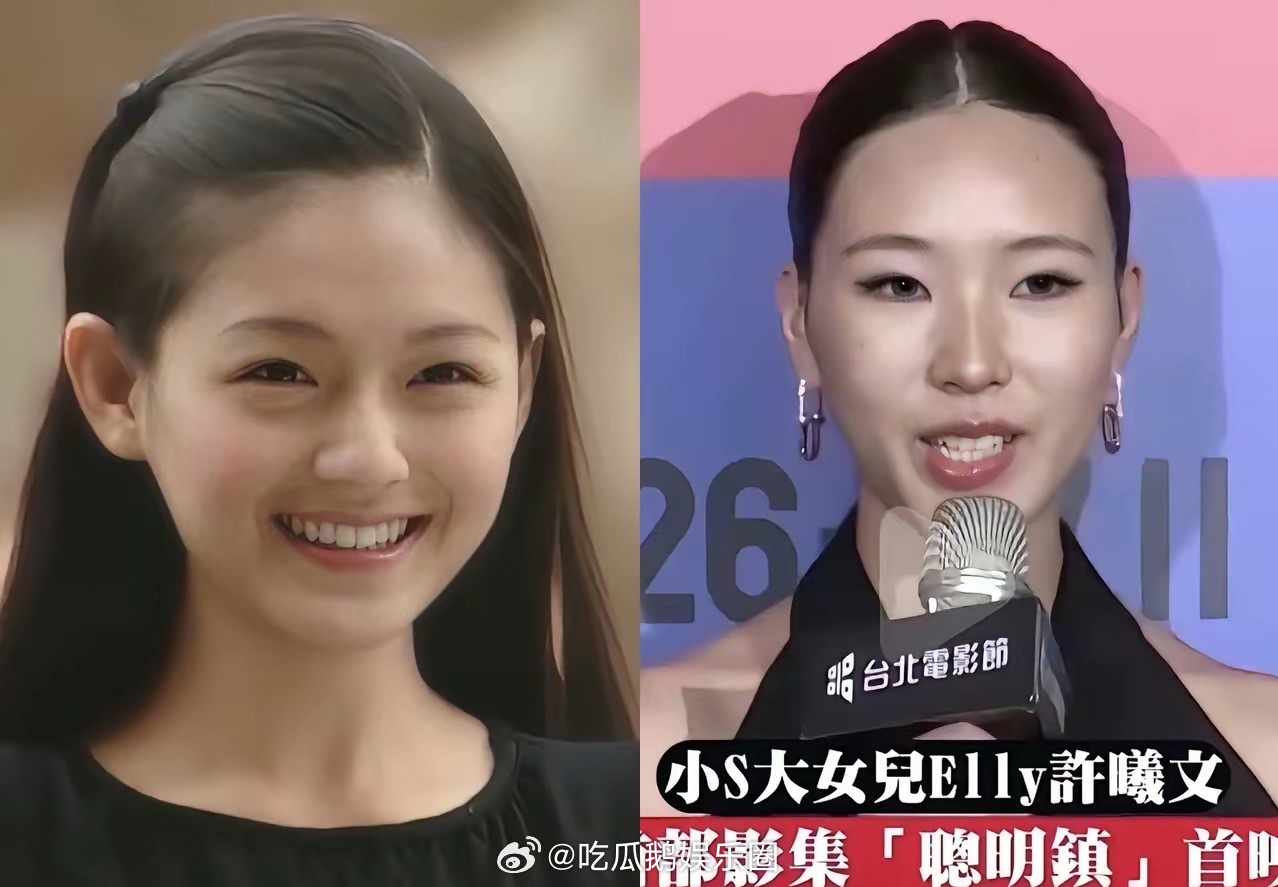 小S大女儿许曦文这颜值也能出道拍戏？即使用大S当垫脚石也红不了吧！要不是靠着星二