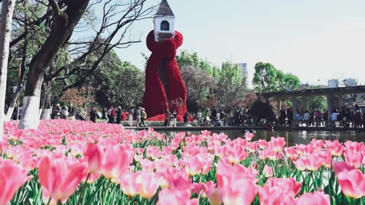 🔥昆明春季爆款攻略｜20℃花城，随手拍封神。昆明的春天，是全国最早的浪漫！2-