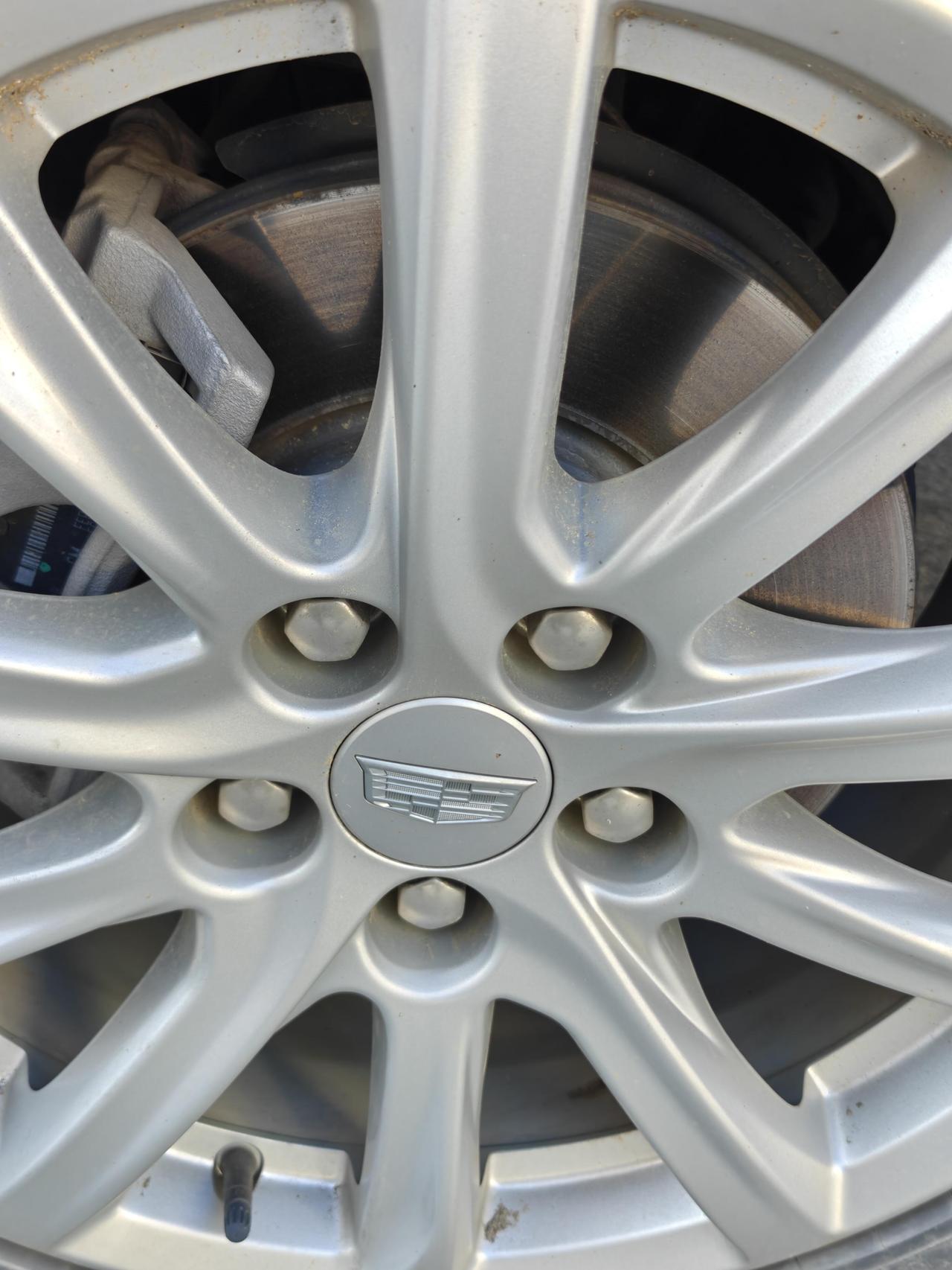 据说凯迪拉克的刹车盘永远都不会生锈[赞][赞][赞]其实，也不是永远，主要是