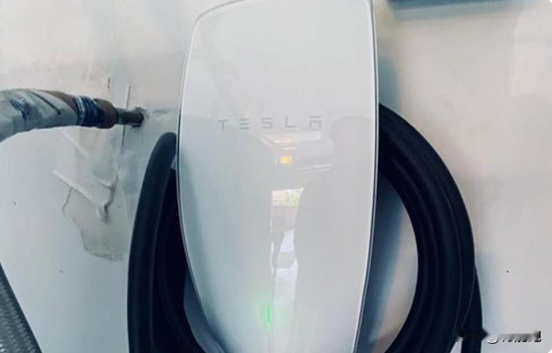 提车一年多，被特斯拉的充电逻辑折磨得够呛。说几个血泪经验：别每次都充到100%