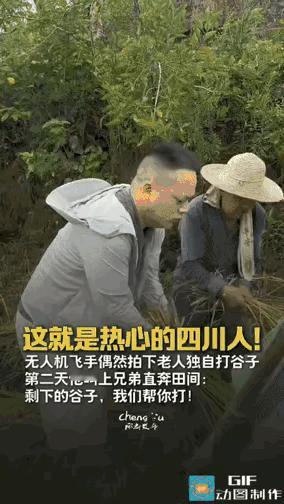 “破防了。”四川广安一位小学音乐老师李江，原本只是想用无人机拍点稻田丰收的景色。