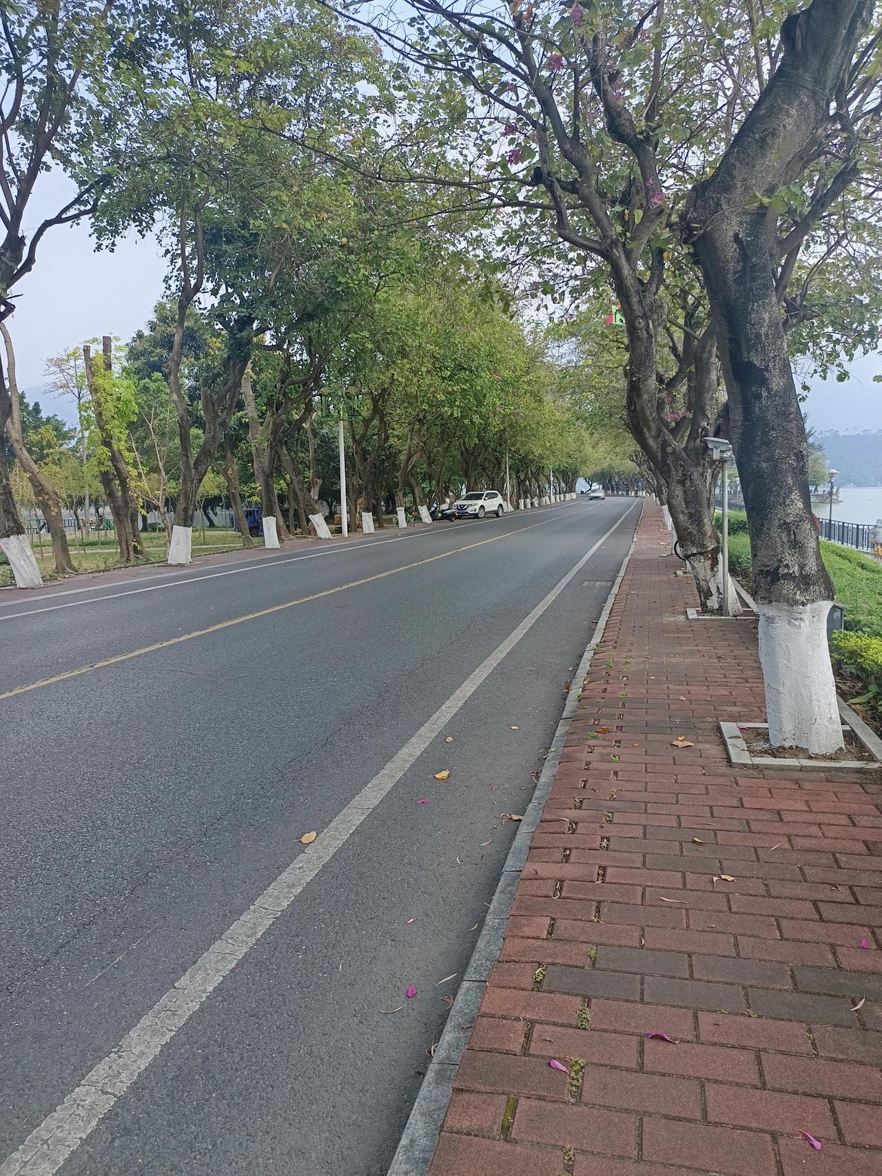 我在肇庆发现了一个很严重的问题但不知道怎么说才好你敢相信吗？这里就是