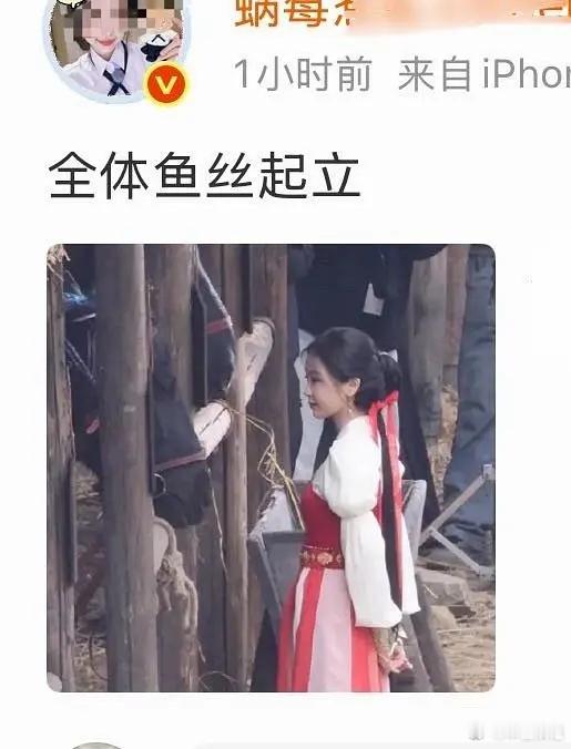 到底在起立什么🙉