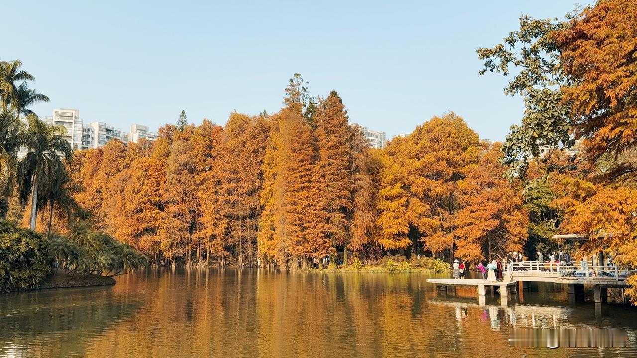 今天是4月22日，星期三，早安。我们总在向往远方，却常常忽略了身边的温暖。