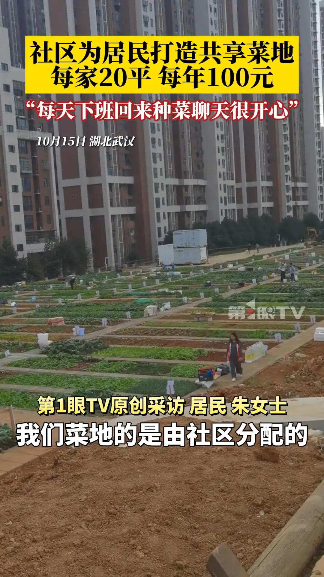 太有头脑了！湖北武汉，小区居民看了看楼下荒废的空地，竟灵机一动把它打造成了“共享
