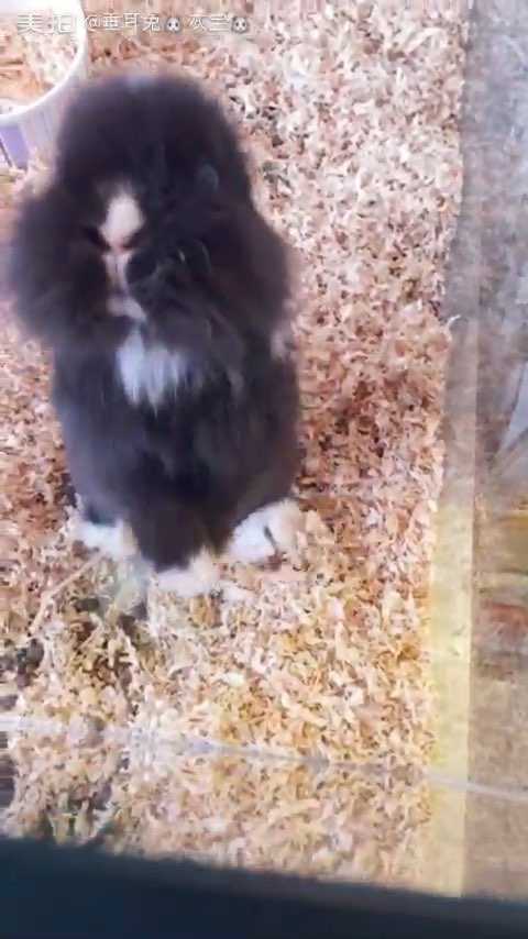 158638904589053539.jpg?id=0