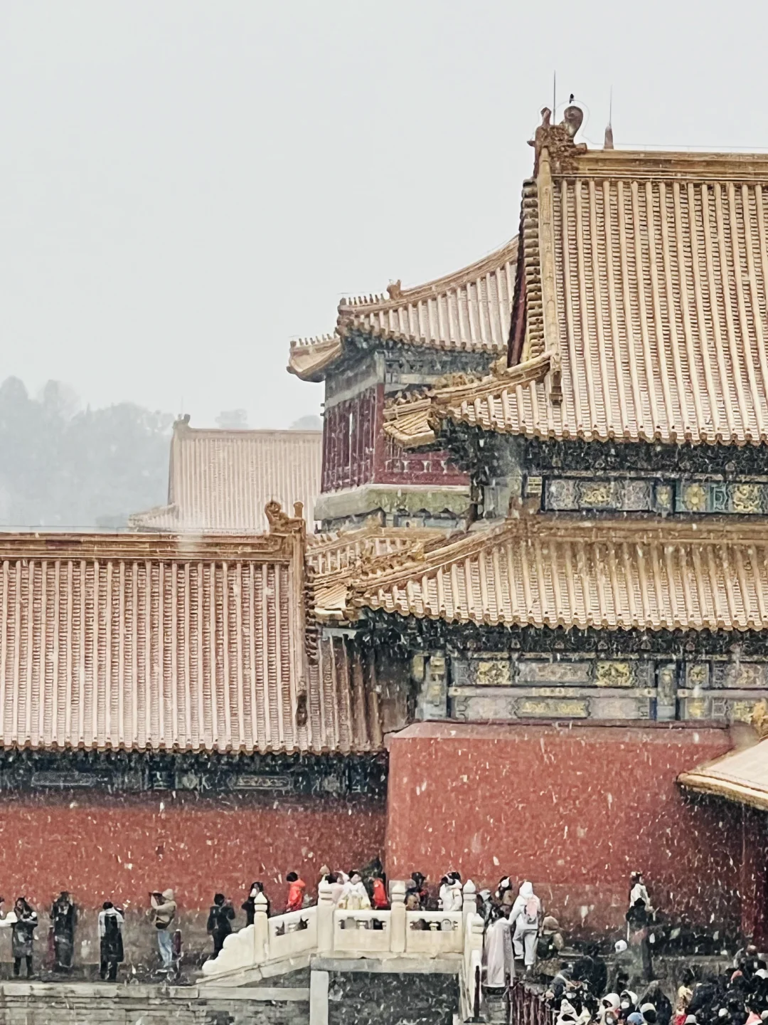 此刻的故宫❗ 2025年第一场大雪❄