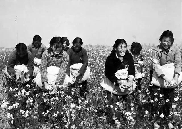 回顾时光老照片小时候上学，经常有学工、学农课，说白了就是帮助农民搞夏队秋收之类的