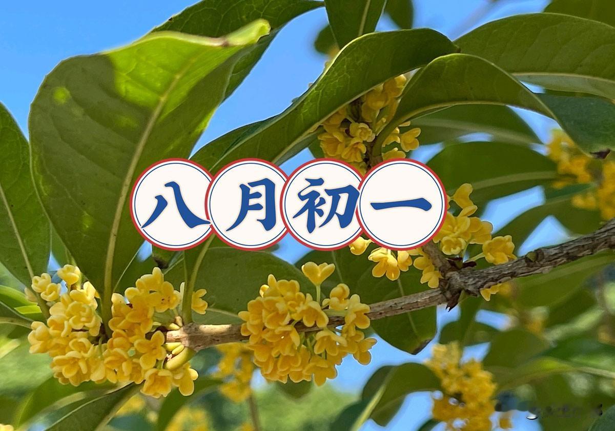 9月11日八月初一，“最怕八月初一水”，有什么讲究？9月11日，便是农历八