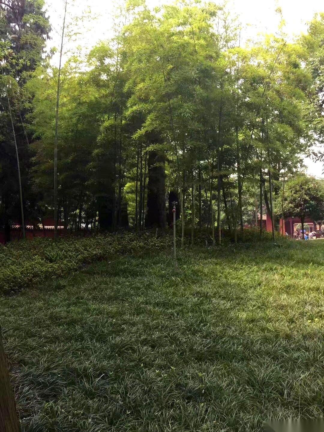 54岁，本科学历，手里攥着一级建造师和造价师两本“硬证”，我在家整整闲了7个月。