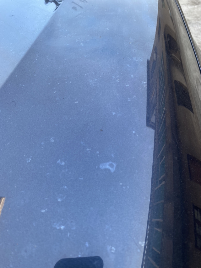 11代思域车漆问题车漆表面是这样的，怎么回事呢？哪位大神知道的给解释解释！