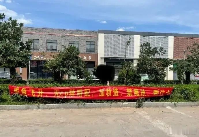 王鹤棣和李沁的《咸鱼飞升》竟然被线下拉横幅抗议了，这可真是个新鲜事儿！横幅上还写