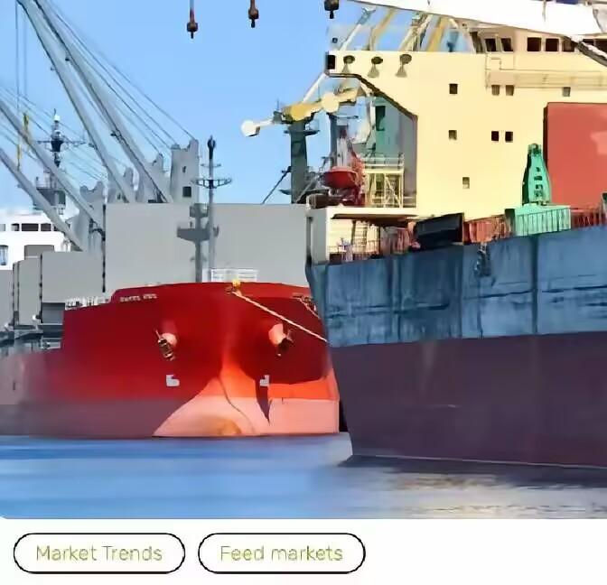 中国海关严查！6.9万吨巴西大豆惊现农药麦粒，五家巨头被点名暂停出口