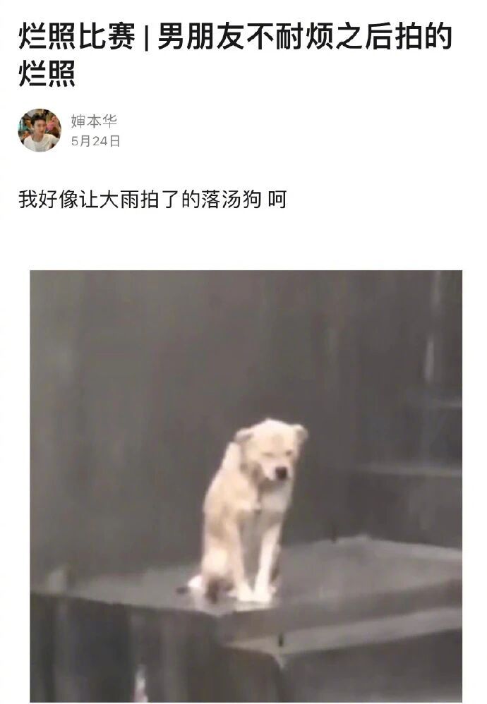 男朋友的阴间拍照技术！除了把你拍丑，其他都挺好的…