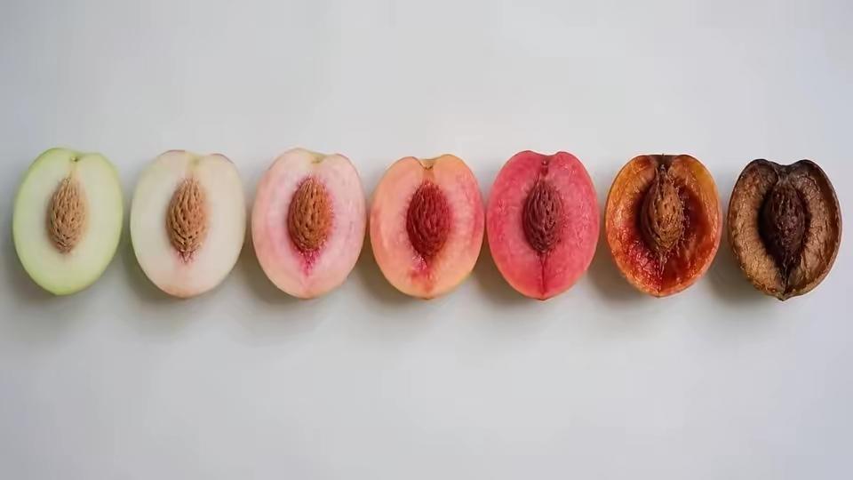 看了这张图，懂得都懂…看懂就是通透能看懂图片