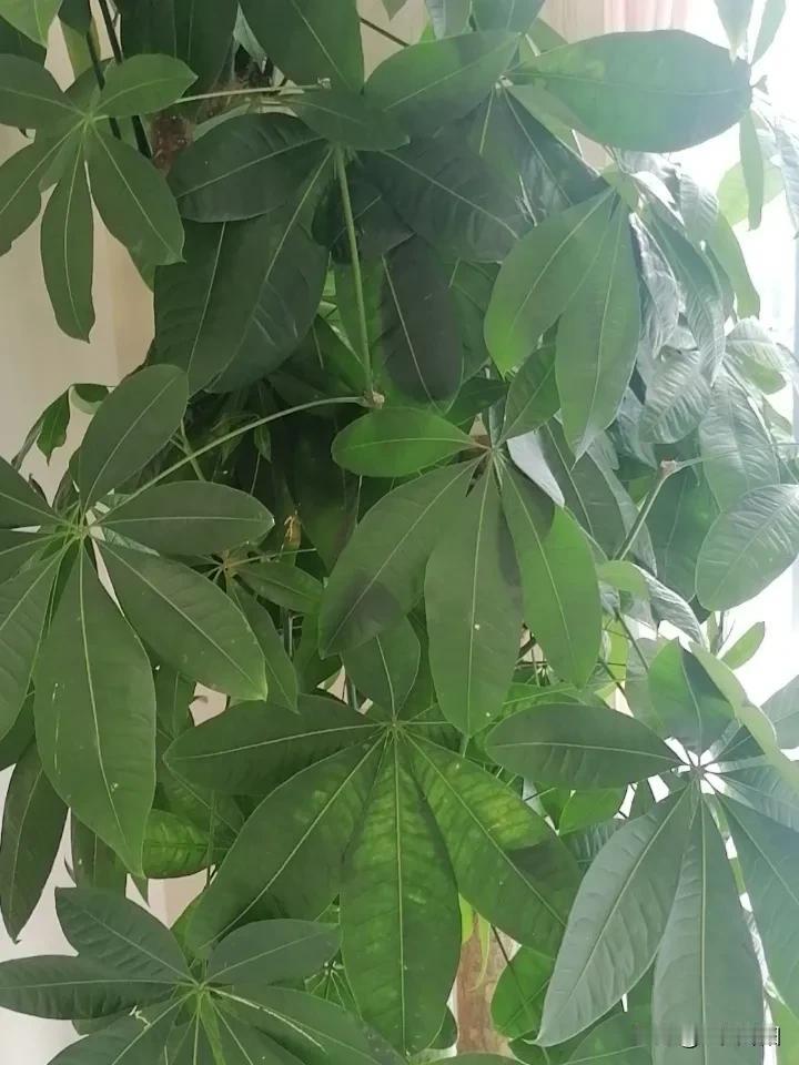 身边一位朋友最近看着科技板块波动，心里慌慌的，总想着干脆全部抽身离场。听完陈果的