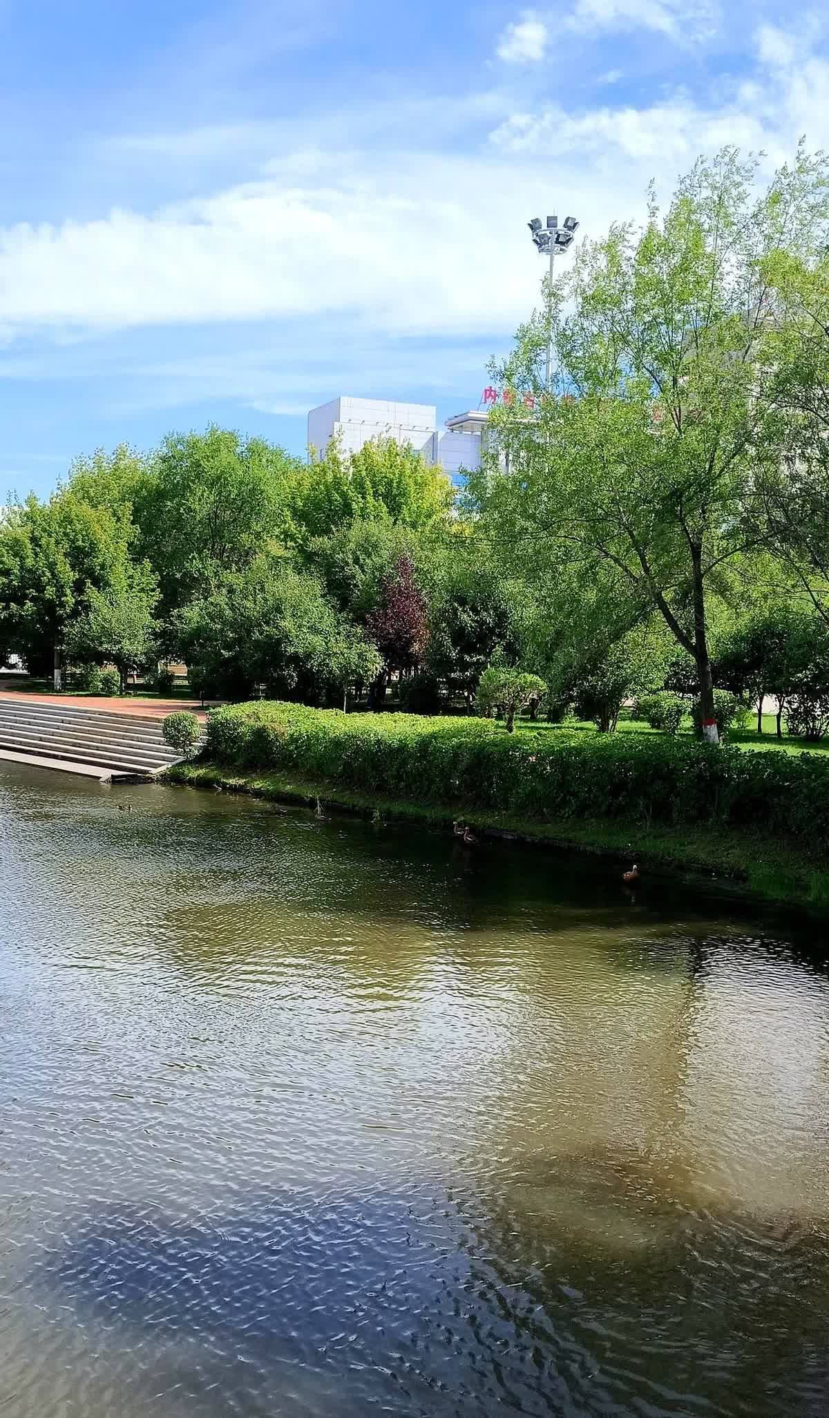 我滴个乖乖，刚刷到一个消息，给我干沉默了。说普京一年365天，有一多半的时间
