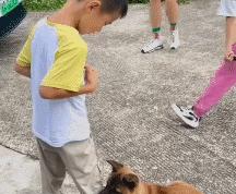 小男孩外出散步的时候，被一只狗狗抱住腿亲昵，就仿佛原本就相识一般，小男孩也舍不得
