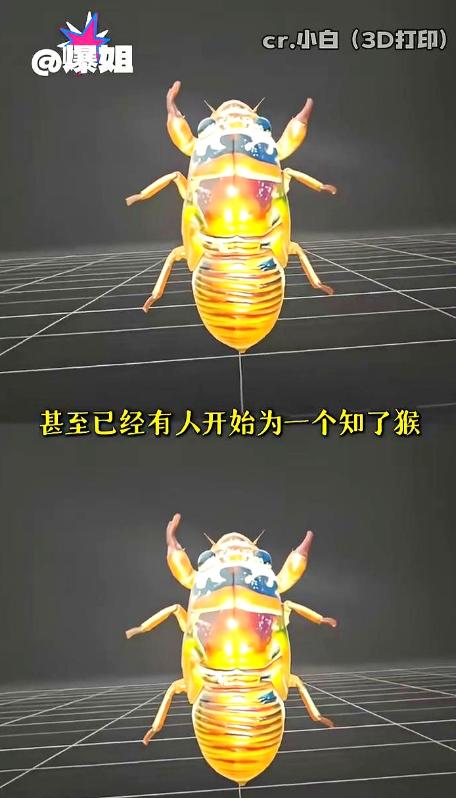 山东夜里抓知了猴的人，这下要彻底崩溃！大伙千算万算都没料到，遇上一堆玩转高科技的