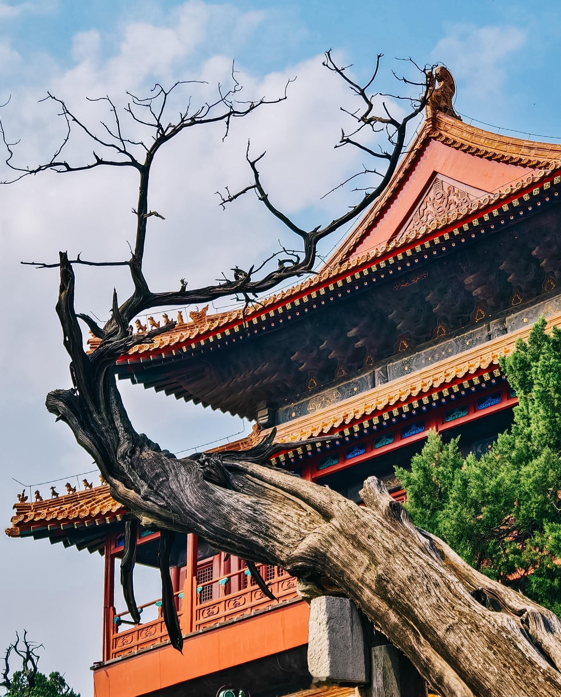 好品山东突然很想夸一下我的老家山东，泰山大家都知道，巍峨泰山，五岳独尊，承载着千
