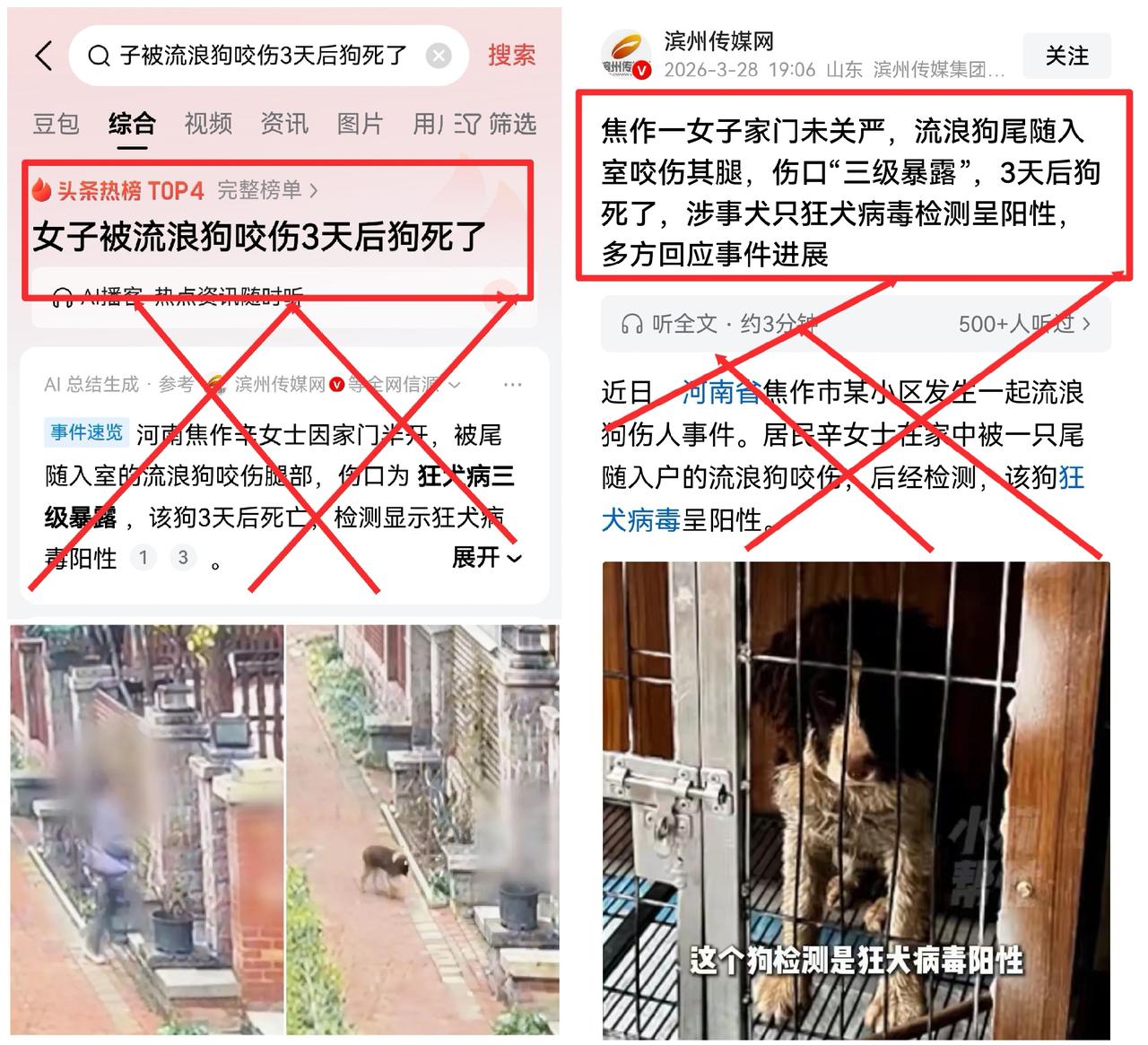 女子被流浪狗咬伤3天后狗死了！河南焦作这起事件冲上热搜，网友看完惊出一身冷汗：那