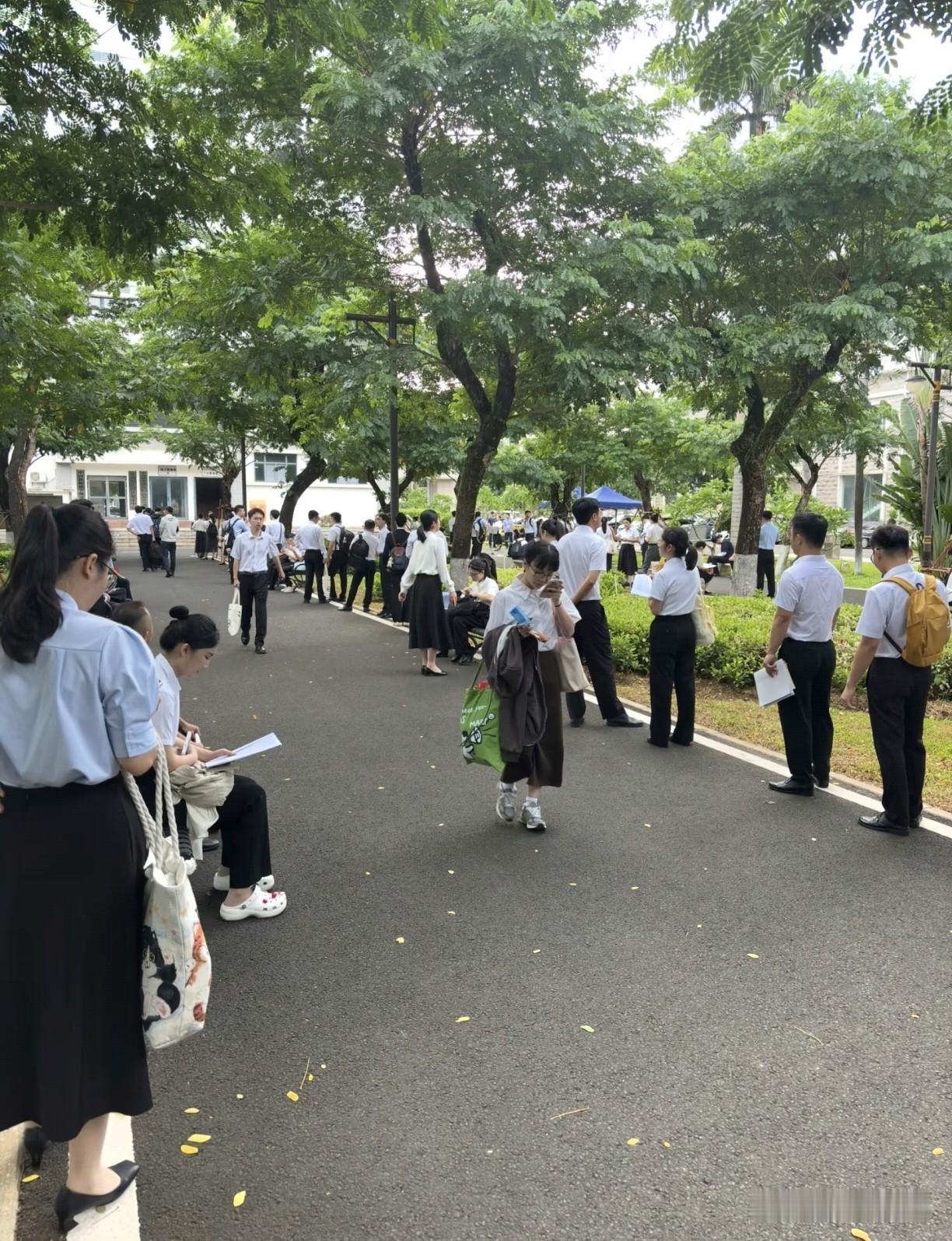 现在的年轻人为什么热衷于考公考编？有一个高赞回答——因为这是普通人能接触到