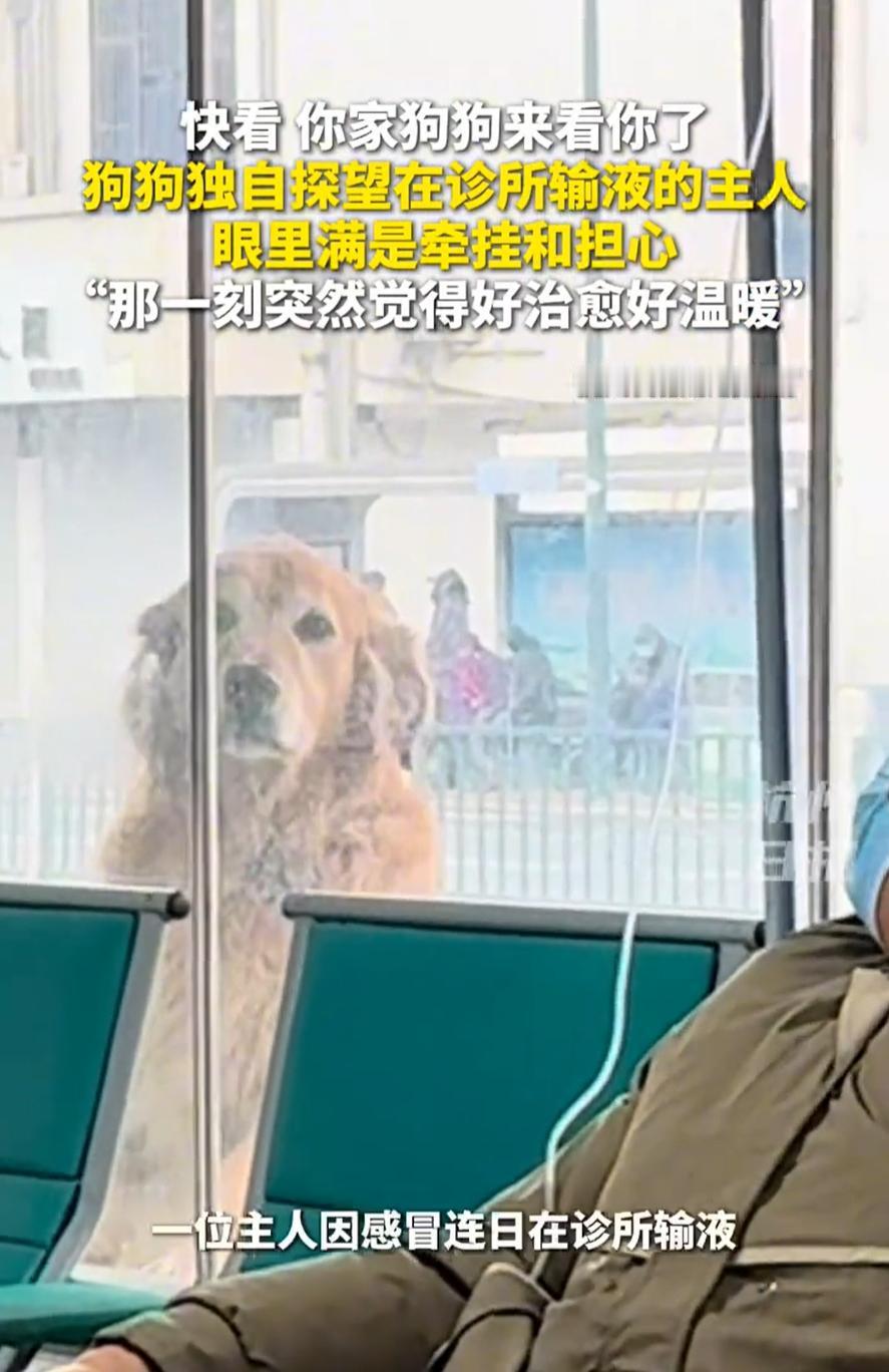 太暖了！江苏，女子感冒到小区诊所输液，本来没什么精神，结果医生突然跟她说：快看，