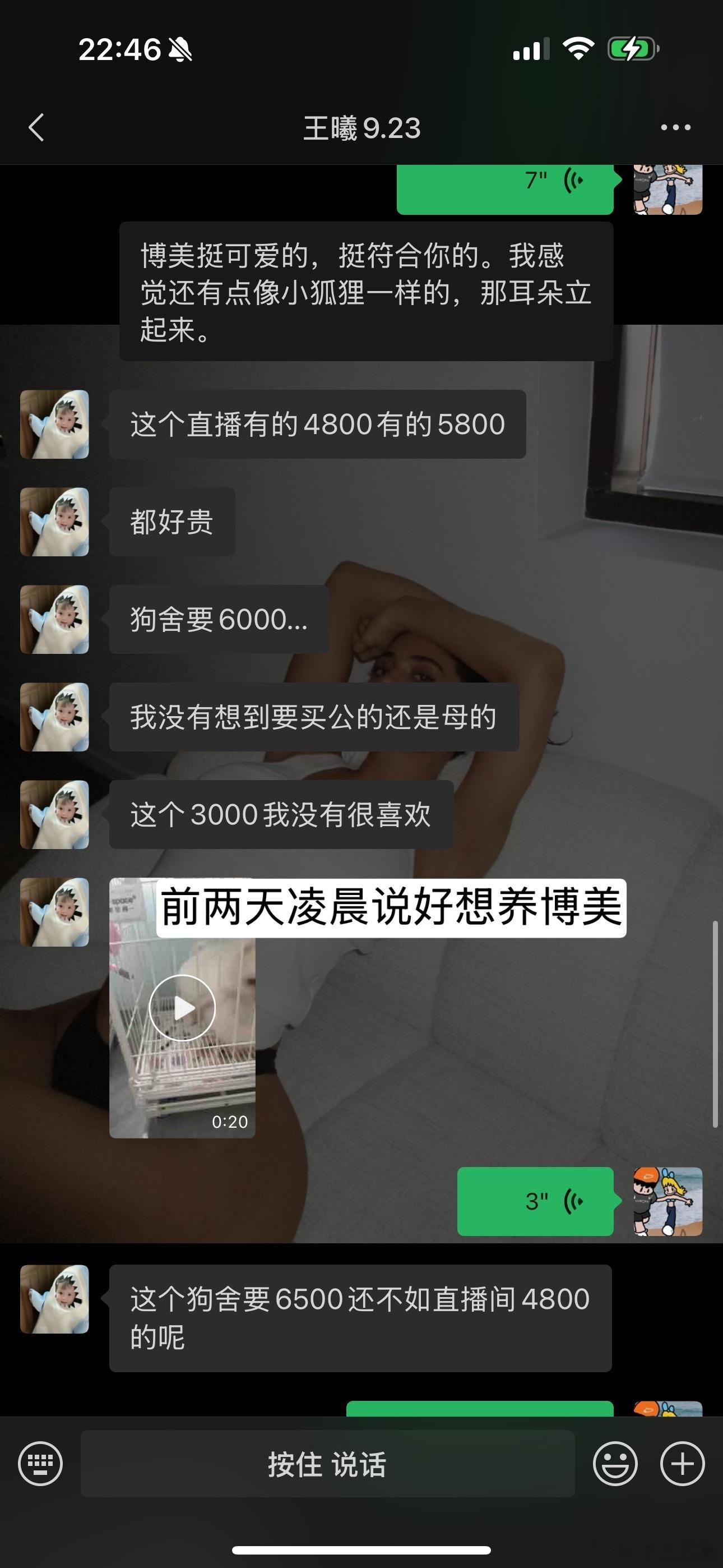 诡秘你再这么说干就干呢​​​