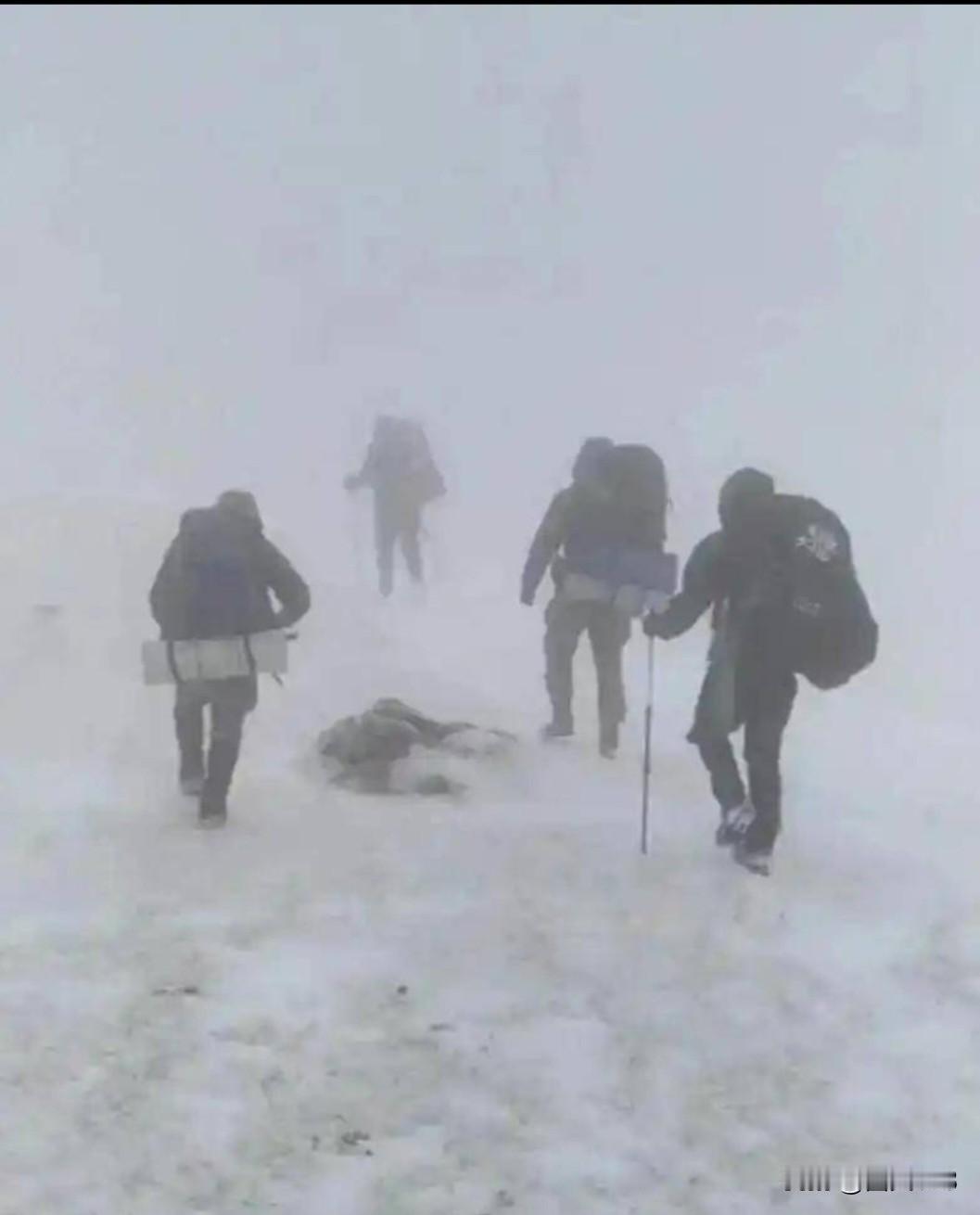 才19岁，挺漂亮的小姑娘，和另外4人违法穿越鳌太线，最后3人