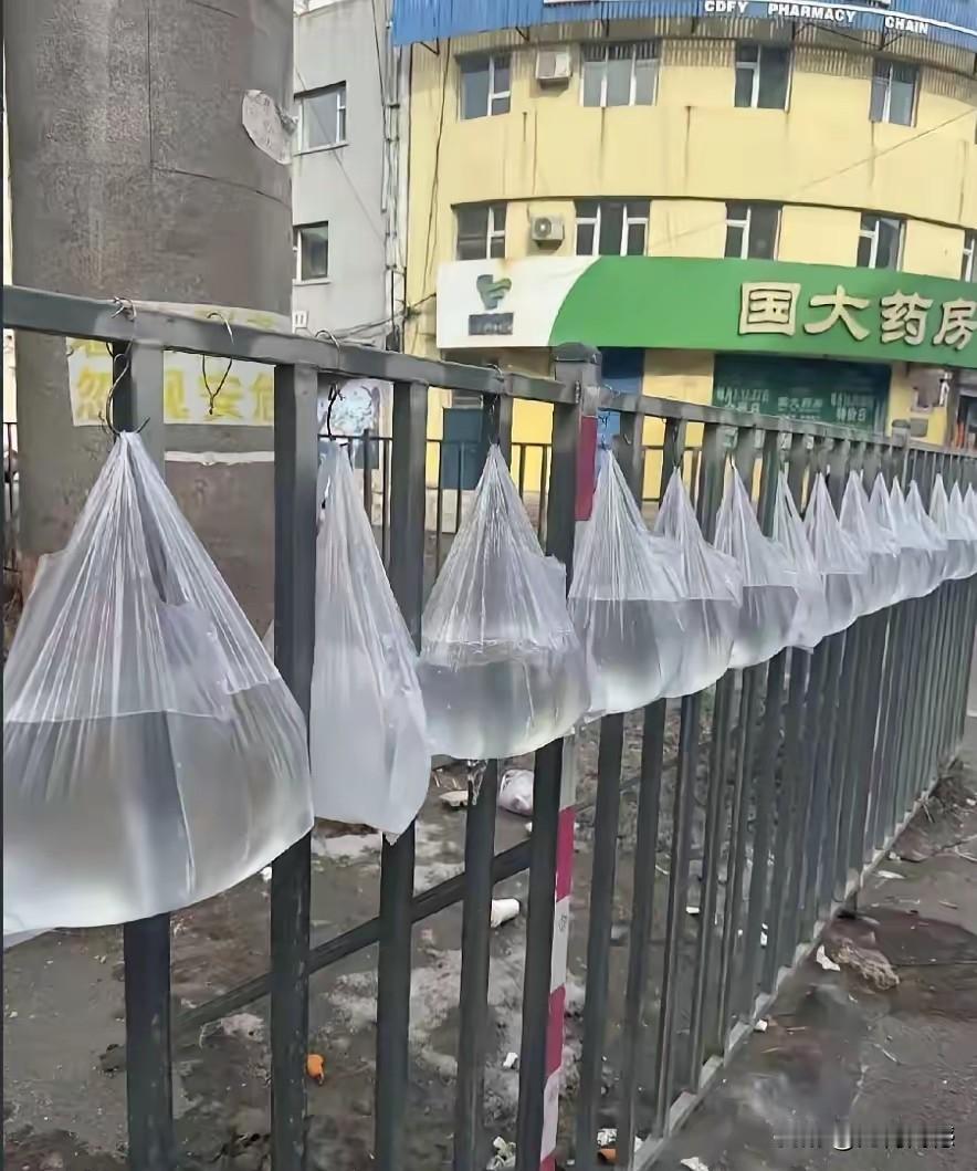 据说这是在吉林街头发现的一景，在栅栏上挂了不少塑料袋，里面装的都是水，袋里的水都
