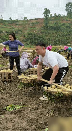 两口子帮忙干农活，男子面对两大筐土豆就是挑不起来，也许男子并不擅长干农活，尽管在