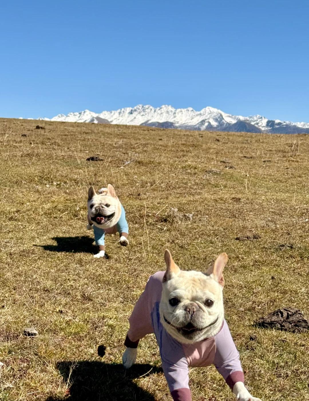 川西马尔康-昌列寺后山从重庆到了马尔康我们第一个去的地方就是昌列寺不过比起