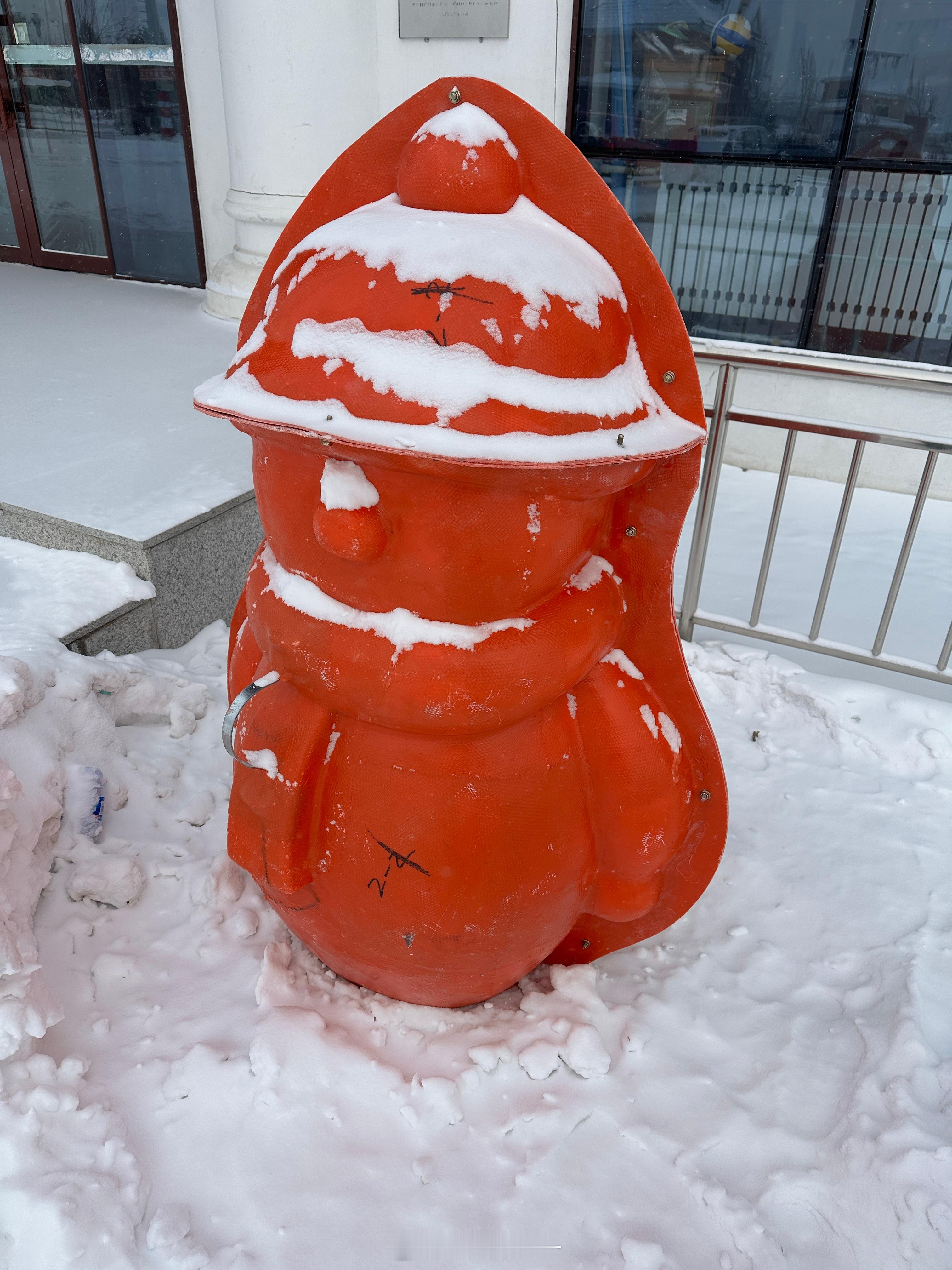 前不久去根河到漠河的极北之旅，看到好多特属于东北的有意思的事，比如这，没想到大雪