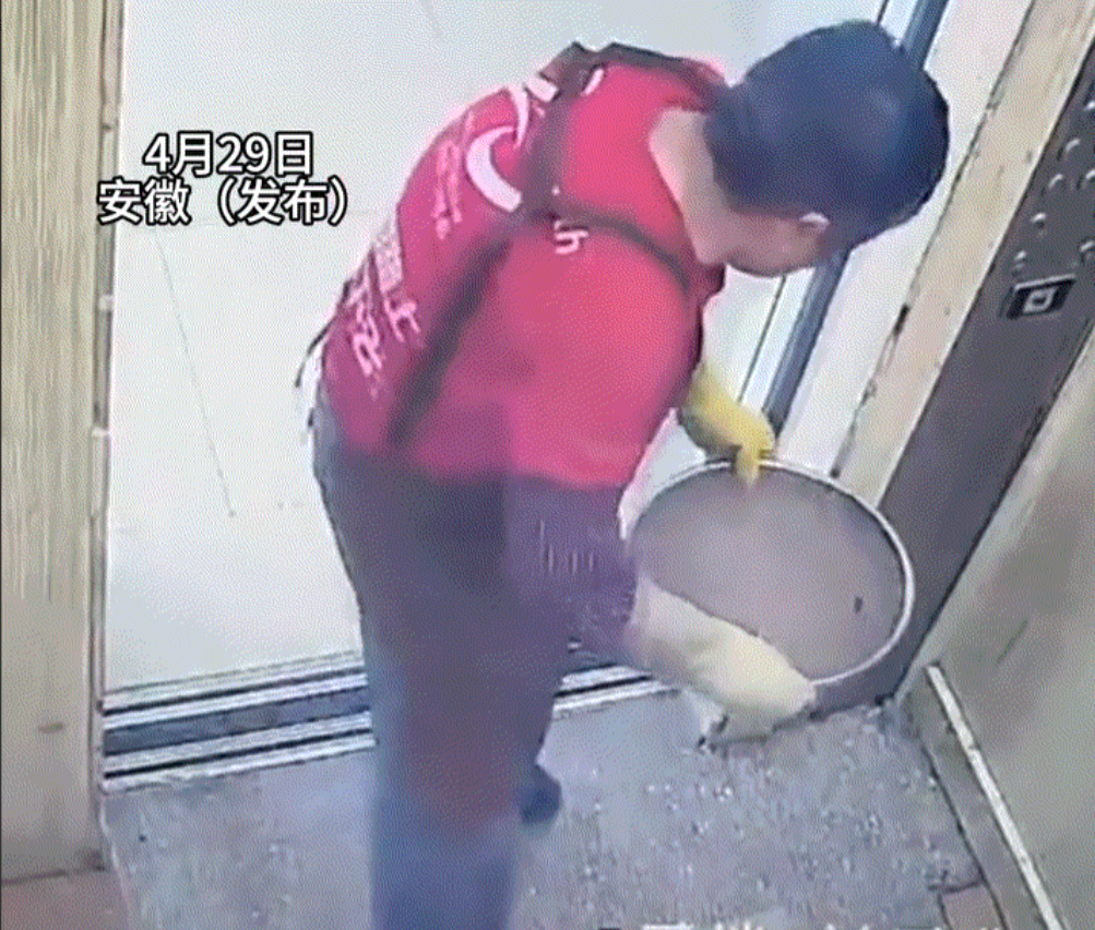 太无知了。电梯监控拍到，一大妈端着一盆厨房废水按了电梯，但接着往下看却发现，大妈