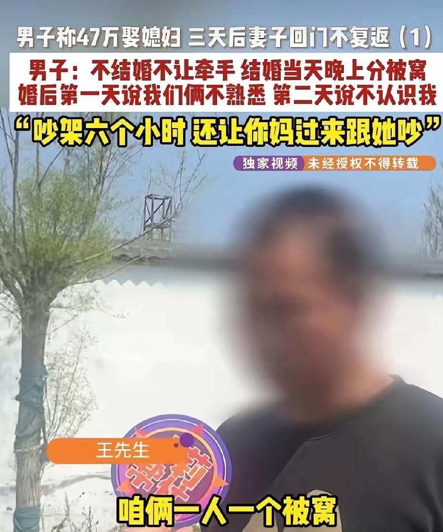 "47万！3天！媳妇说去调个凉菜结果直接没了！"兄弟们，这不是电影，这是河南漯