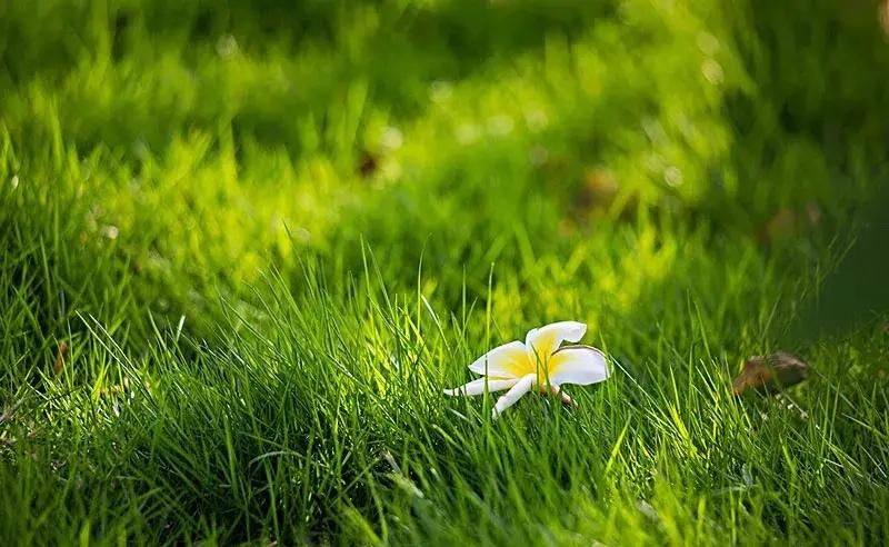 孤独是一种什么体验?孤独的体验是享受还是无奈，取决于身处其中的人。享受，因