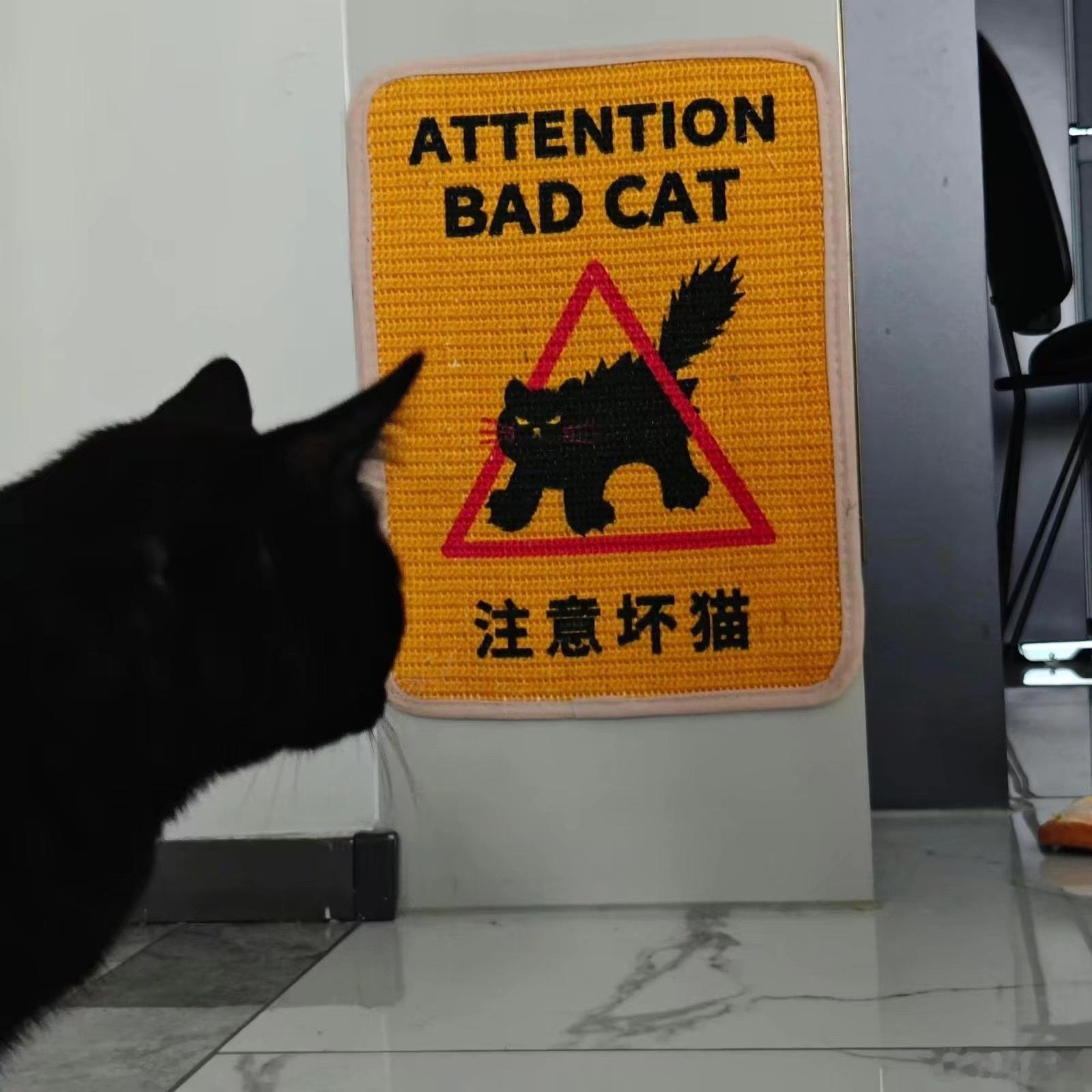 说谁是坏猫呢​​​