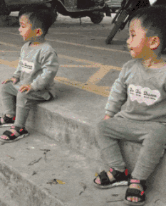 爆笑GIF: 妹子, 没事逗猪干嘛呢?