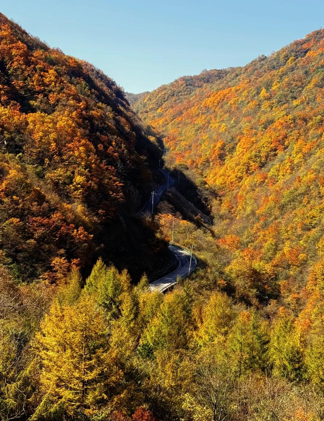 光雾山红叶听劝｜3天绝美路线+避坑全攻略！刚结束巴中光雾山红叶之旅，爆肝总结这