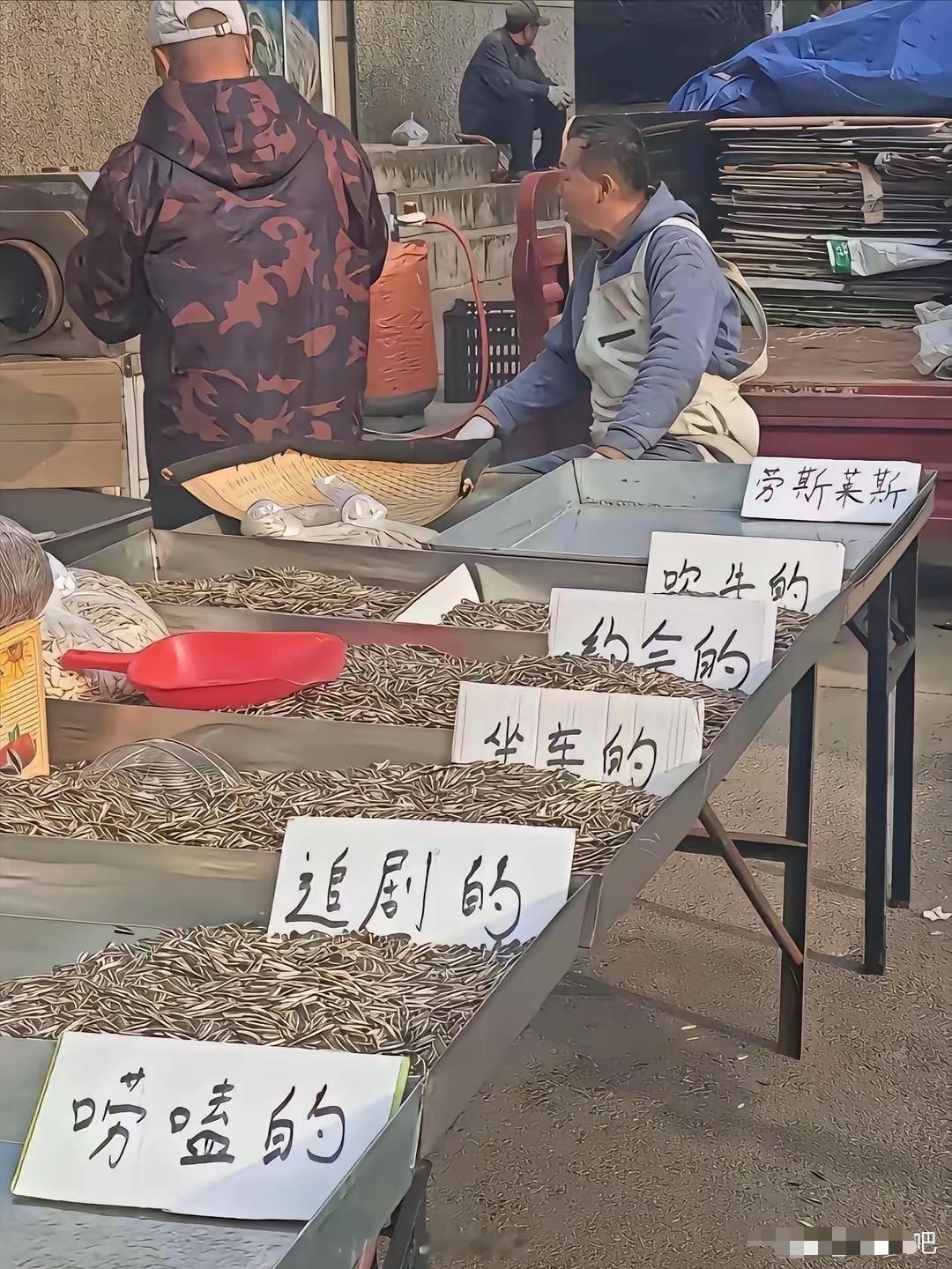 大爷还得是大爷，卖瓜子嗯都能卖出新花样！