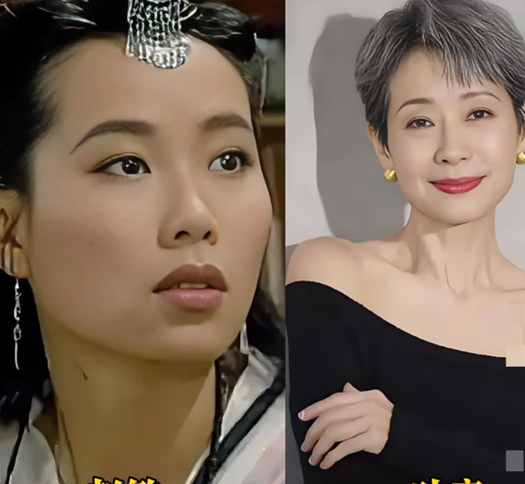 94版《倚天屠龙记》演员今昔对比叶童（赵敏）马景涛（张无忌）周海媚