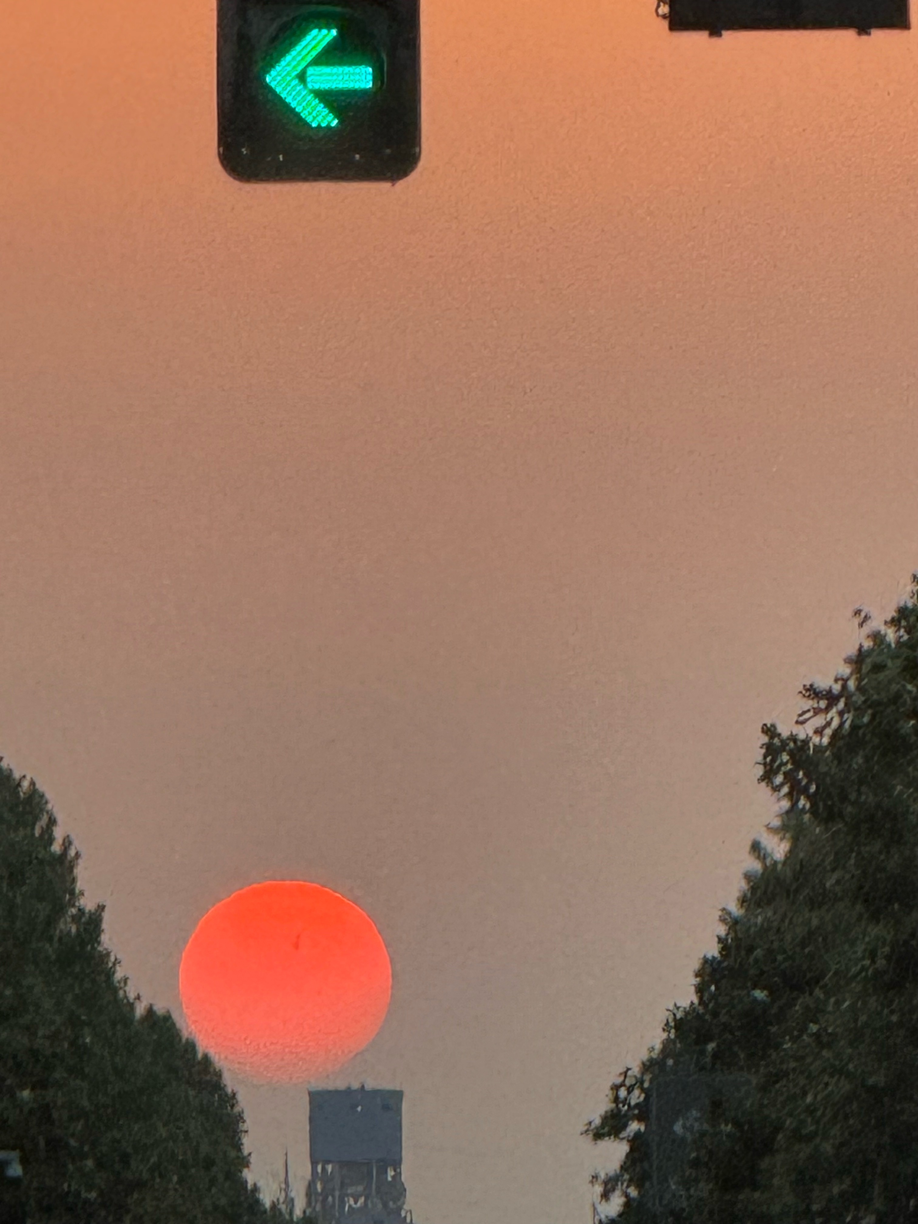 第一次见到这么大大大大大大的落日，我爱夕阳一辈子！！​​​