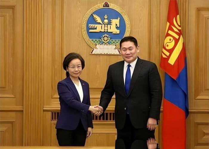 有人在网上开玩笑说到：如果蒙古国早上8点宣布加入北约，那么到了上午10点