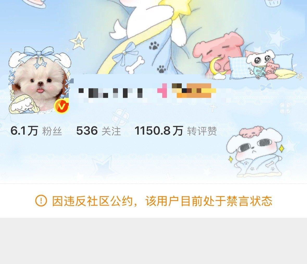 这就是口碑