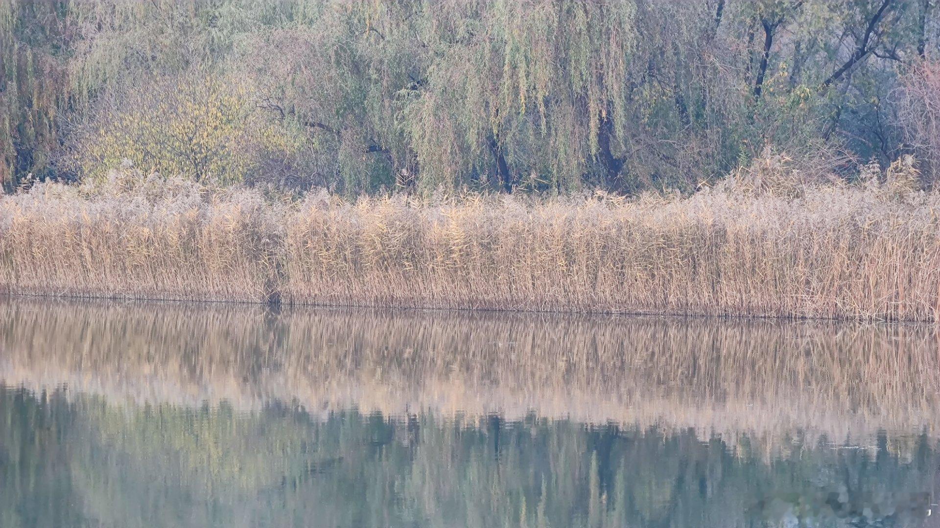 国家植物园的秋色摄影