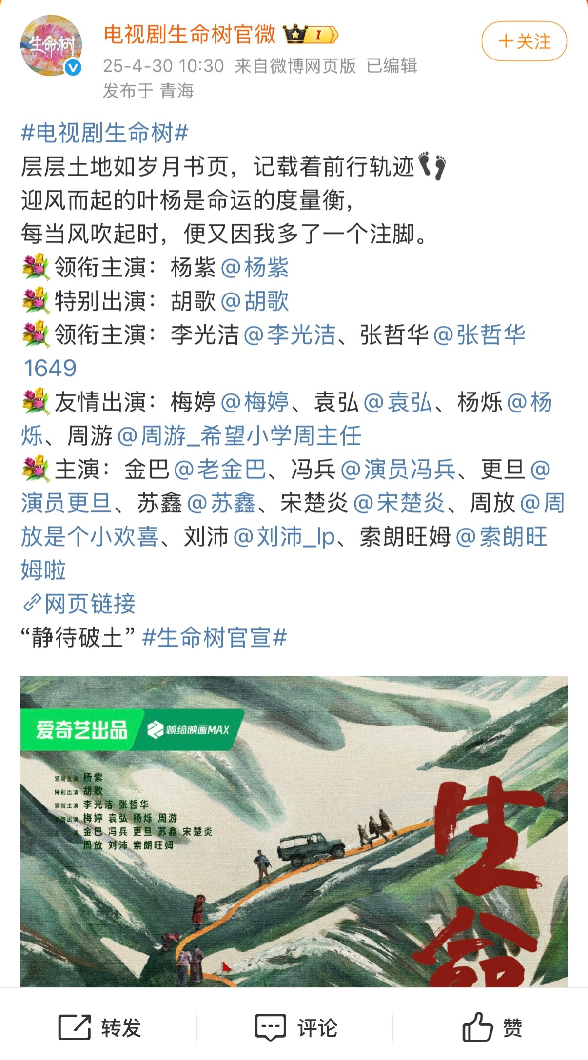 生命树，老胡果然是特出，也只有地位稳固如他，才能纯粹拍剧而不计较番位。我觉得这也