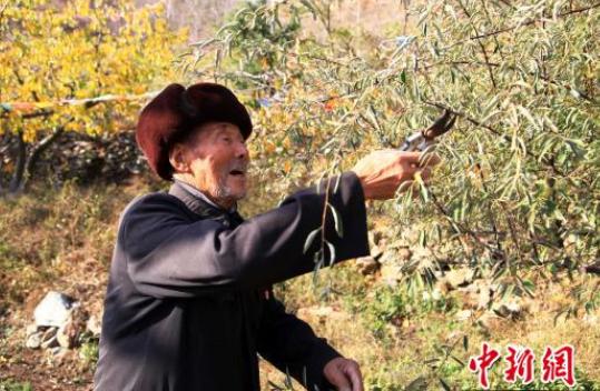 山东有个叫李世富的老人，今年95岁。但人生最拧巴的一件事，是32年前，6