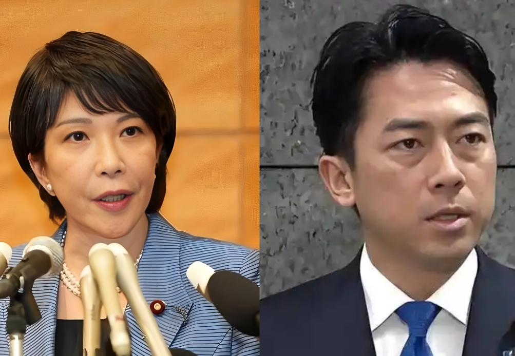 高市早苗一旦下台，小泉进次郎最有可能上台接任？先说结论：高市早苗如果真下台，